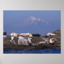 Sök efter soja posters Vilt