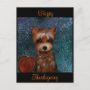 Sök efter yorkie vykort Yorkshire terrier