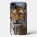 Sök efter tiger ipad skal Katt