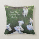 Sök efter shetland sheepdog heminredning Sheltie