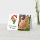 Sök efter ful katt kort Helgdagar