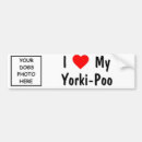 Sök efter yorkie bildekaler Yorkshire