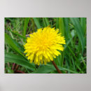Sök efter ogräs konst Vildblomma