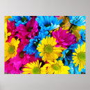 Sök efter pic posters Blommor