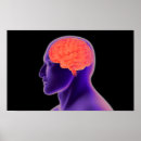 Sök efter människahjärna Neuroscience