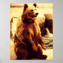Sök efter grizzly posters Däggdjur