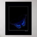 Sök efter fotografera posters Natur