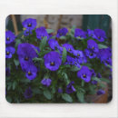 Sök efter violas musmattor Blommor