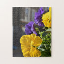 Sök efter petunia Fotografi