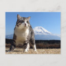 Sök efter 猫 Kawaii