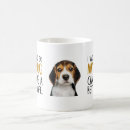 Sök efter hund med jobb Beagle