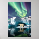 Sök efter arktisk posters Aurora