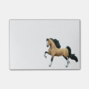 Sök efter saddlebred Gaited