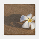 Sök efter plumeria magneter Natur
