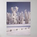 Sök efter frost posters Landskap