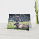 Sök efter rolig älg Födelsedag