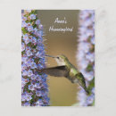 Sök efter hummingbird vykort Blomma