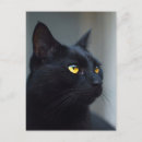 Sök efter kattvykort Kissekatt