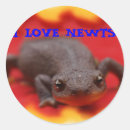 Sök efter newt Kärlek