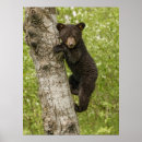 Sök efter adams posters Träd