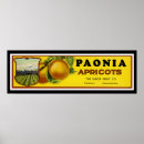 Sök efter labels posters Reklam