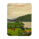Sök efter connemara Irland