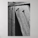 Sök efter svartvitt fotografera Abstrakt