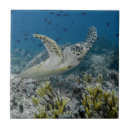 Sök efter simma kakelplattor Hav