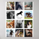 Sök efter häst posters Equestrian
