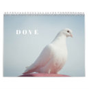 Sök efter fågelskådare Fotografi