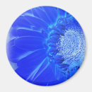 Sök efter gerbera magneter Blå