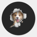 Sök efter corgi klistermärken Ägare av corgi