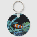 Sök efter clown fisk accessoarer För alla