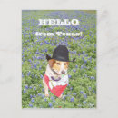 Sök efter texas vykort Söt