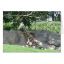 Sök efter giraffkort Giraffe