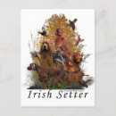 Sök efter irish vykort Setter