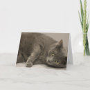 Sök efter ryska kort Blått