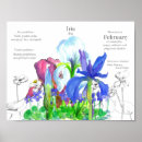 Sök efter birth posters Födelsemånadsblomma