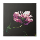 Sök efter rosa vallmo kakelplattor Människor (allmänt)