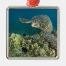 Sök efter hawaii julgransprydnader Ocean