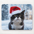Sök efter förtjusande kattunge musmattor Sällskapsdjur