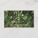 Sök efter druva visitkort Druvor