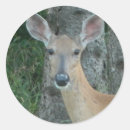 Sök efter scrapbooking klistermärken Skräpbok