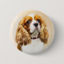 Sök efter kung knappar Spaniel