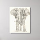 Sök efter skissa konst Elefant