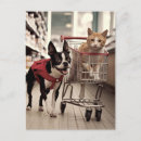 Sök efter boston terrier röd Söt