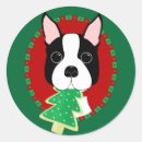 Sök efter terrierjul Boston terrier