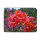 Sök efter floral magneter Blommor