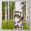 Sök efter björkar konst Skog