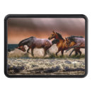 Sök efter häst dragkroksskydd Natur